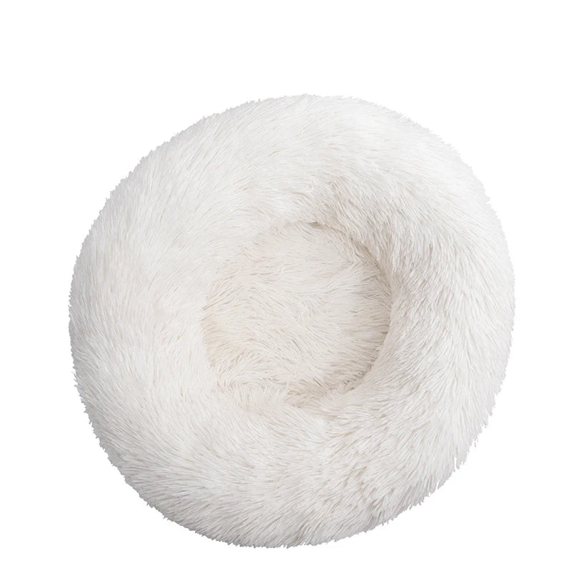 š¾Berlioz - LeĀ Lit Donut