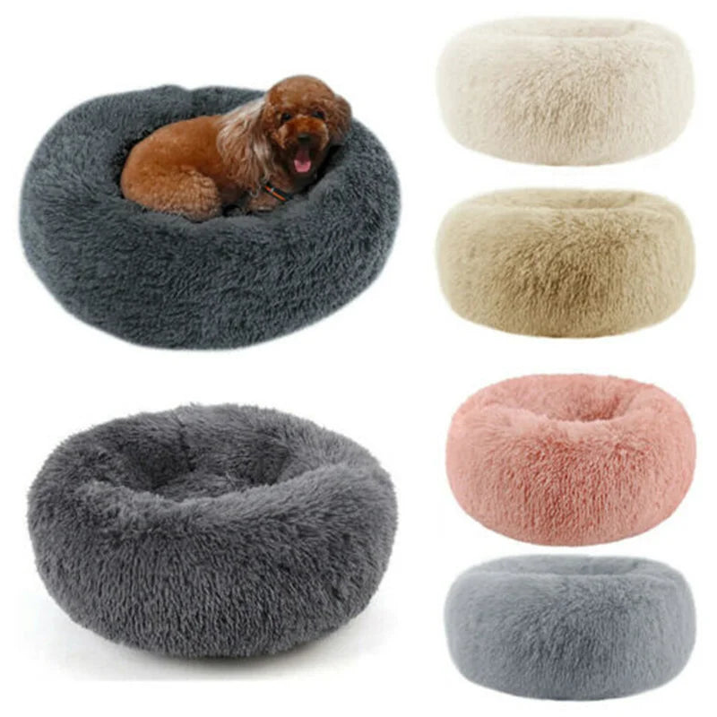 🐾Berlioz - Le Lit Donut