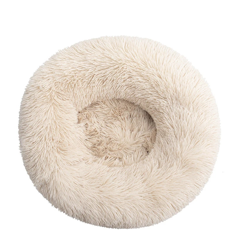 🐾Berlioz - Le Lit Donut