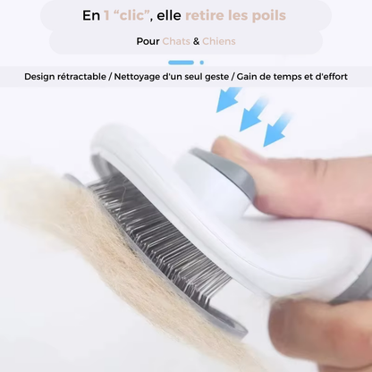 🐾 Scar - La Brosse Auto-Nettoyante