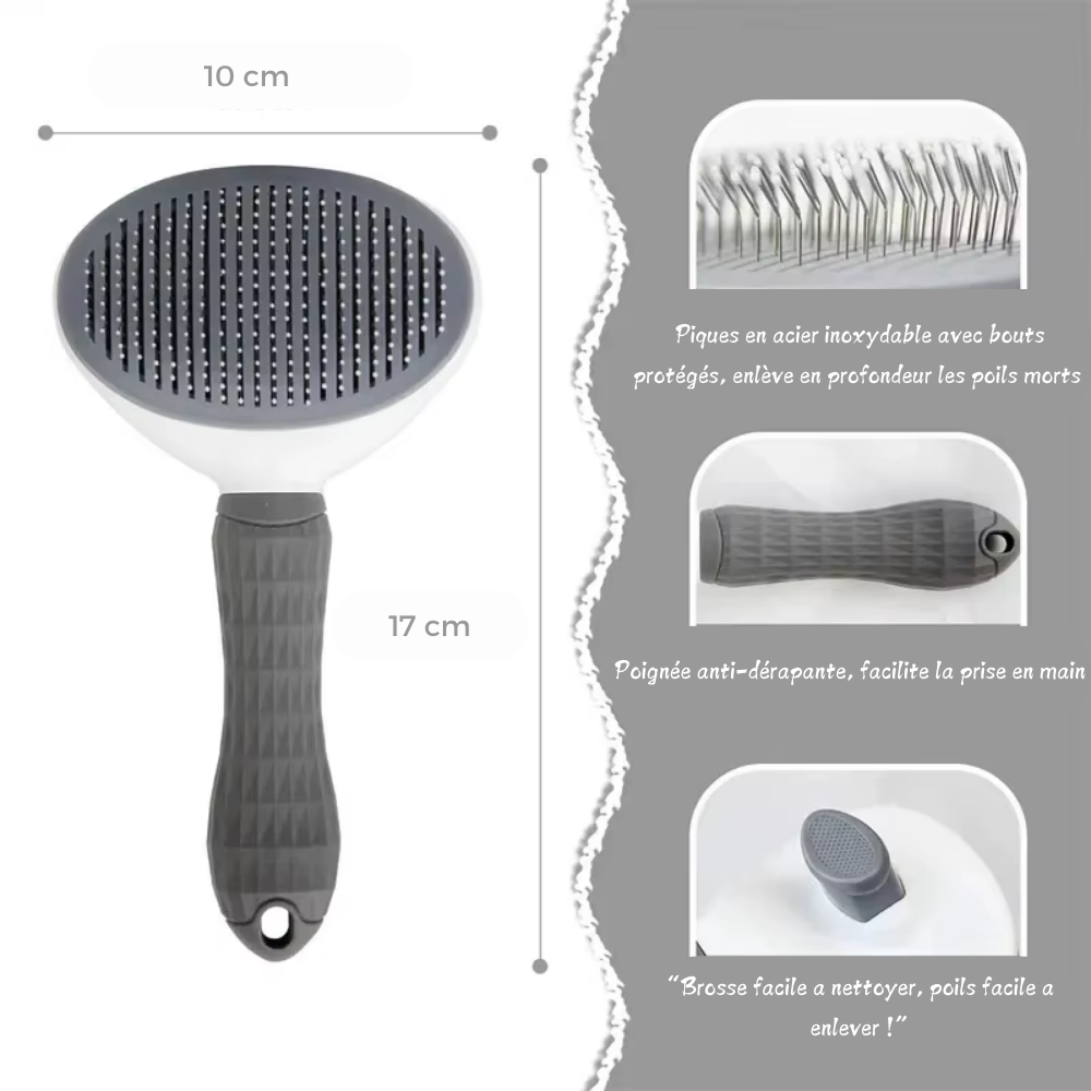 🐾 Scar - La Brosse Auto-Nettoyante