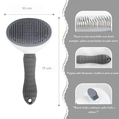 🐾 Scar - La Brosse Auto-Nettoyante