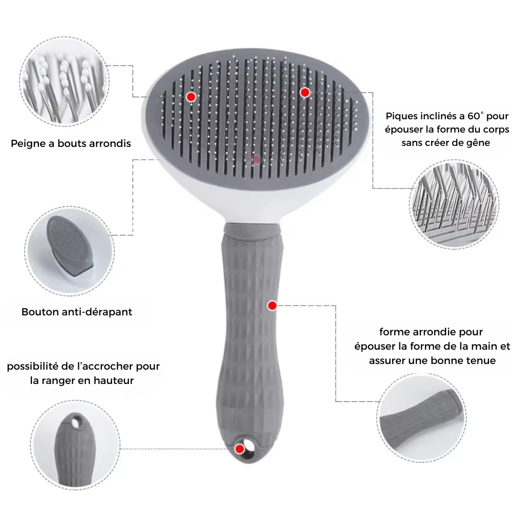 🐾 Scar - La Brosse Auto-Nettoyante