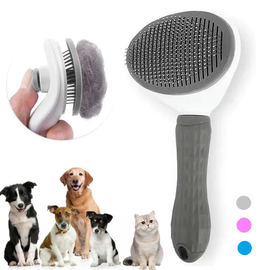 🐾 Scar - La Brosse Auto-Nettoyante